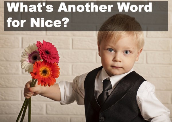 words-to-use-instead-of-nice-50-useful-synonyms-for-nice-with-examples